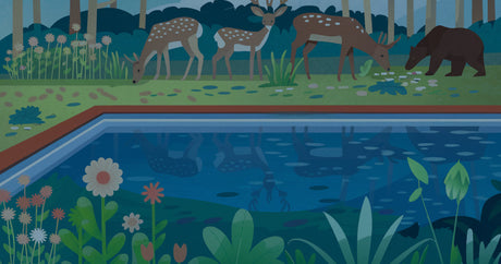 A pool surrounded by nature