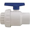 Praher 200-010 2" SKT PVC Single Union Ball Valve