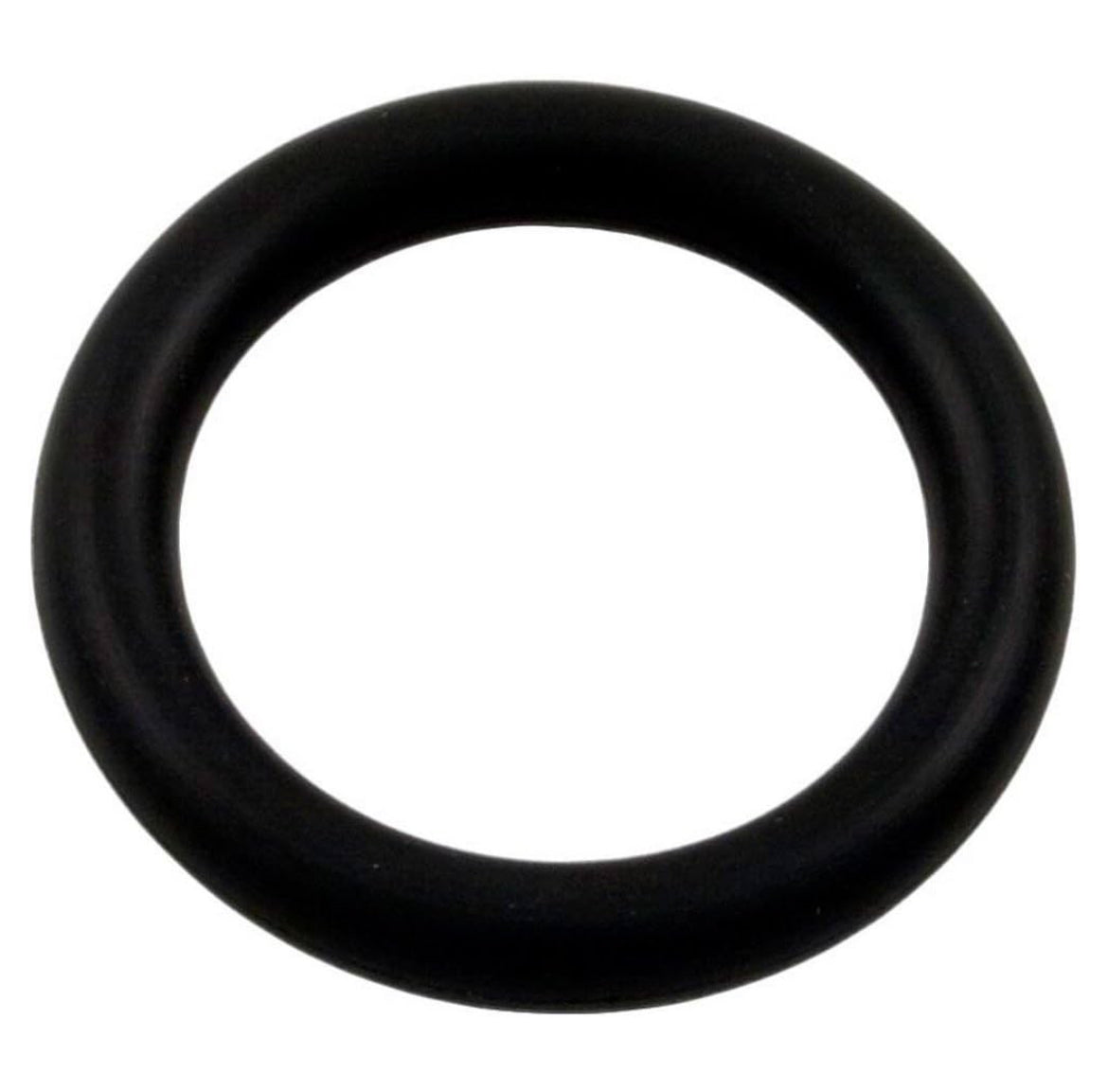 Pentair 79116900 O-Ring Replacement Pool and Spa Light
