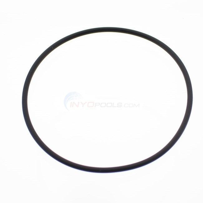 Polaris Lid O-Ring