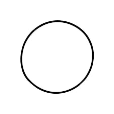 Zodiac Nature2 Professional G / M / A Vessel O-Ring for 1 Piece Cap