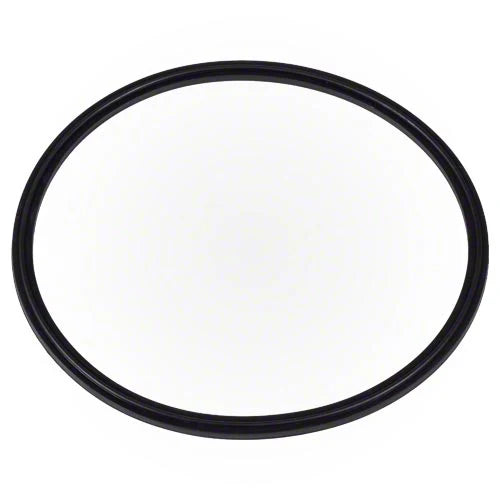 Zodiac Leaf Catcher Seal