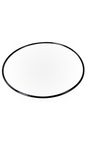 Pentair O-Ring Valve Body - 154493