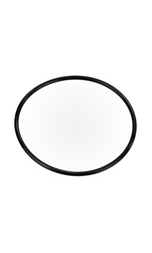Pentair O-Ring - 355619Z