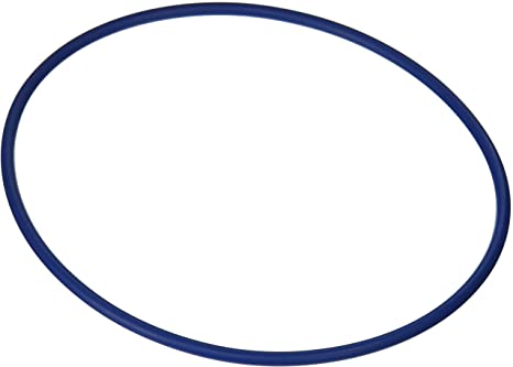 Hayward ProSeries Valve O-Ring / Pump Housing Gasket - GMX600F