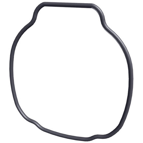 Hayward TriStar Housing O-Ring - SPX3200T