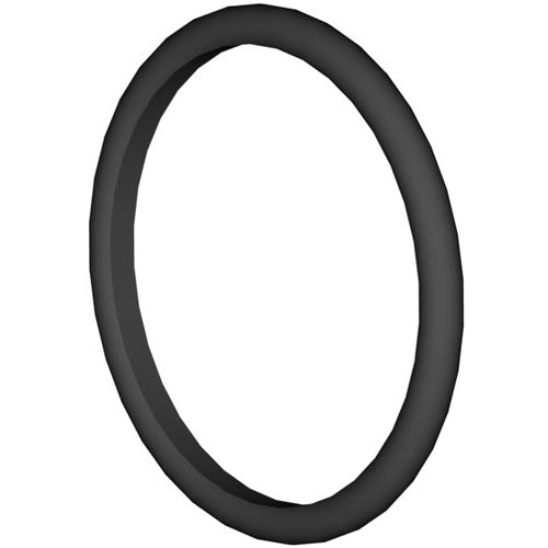 Hayward Matrix Strainer O-Ring
