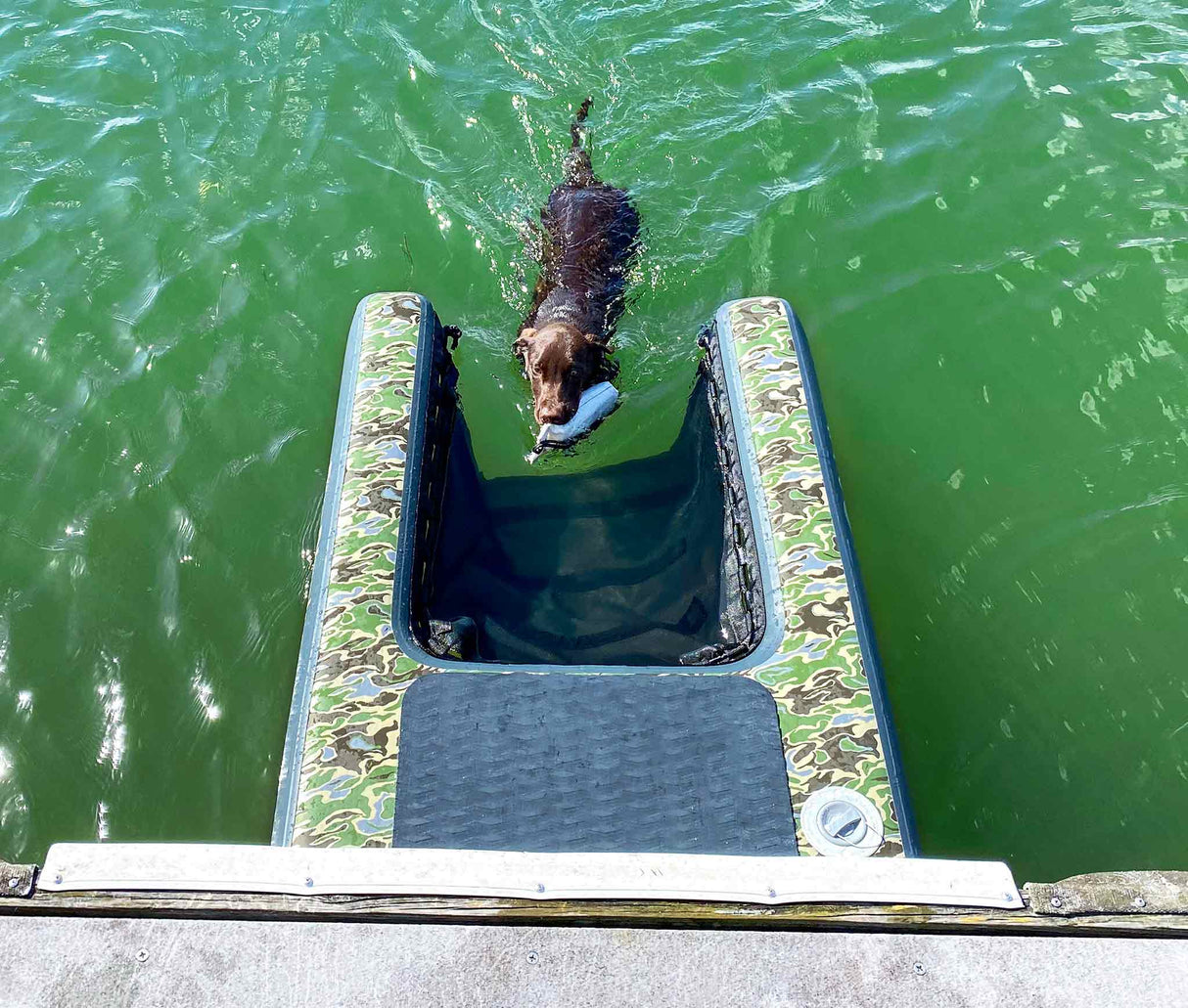 Dog Water Ramps | Inflatable Pup Planks by Solstice