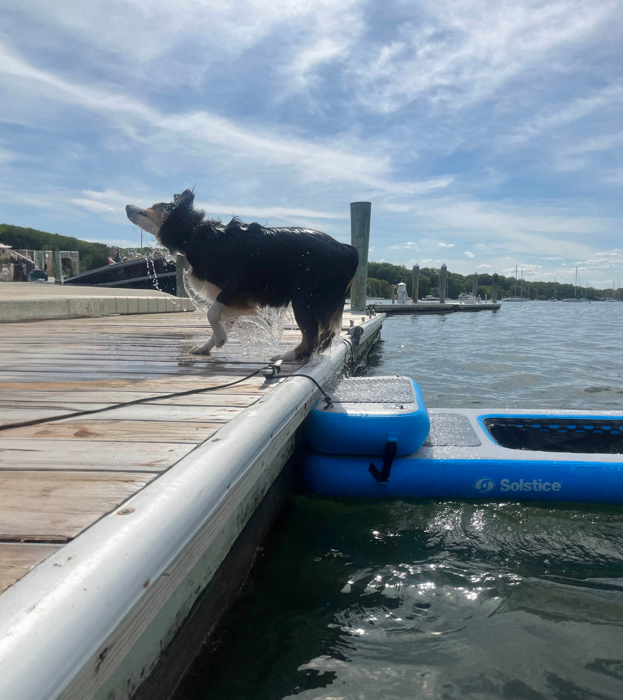 Dog Water Ramps | Inflatable Pup Planks by Solstice