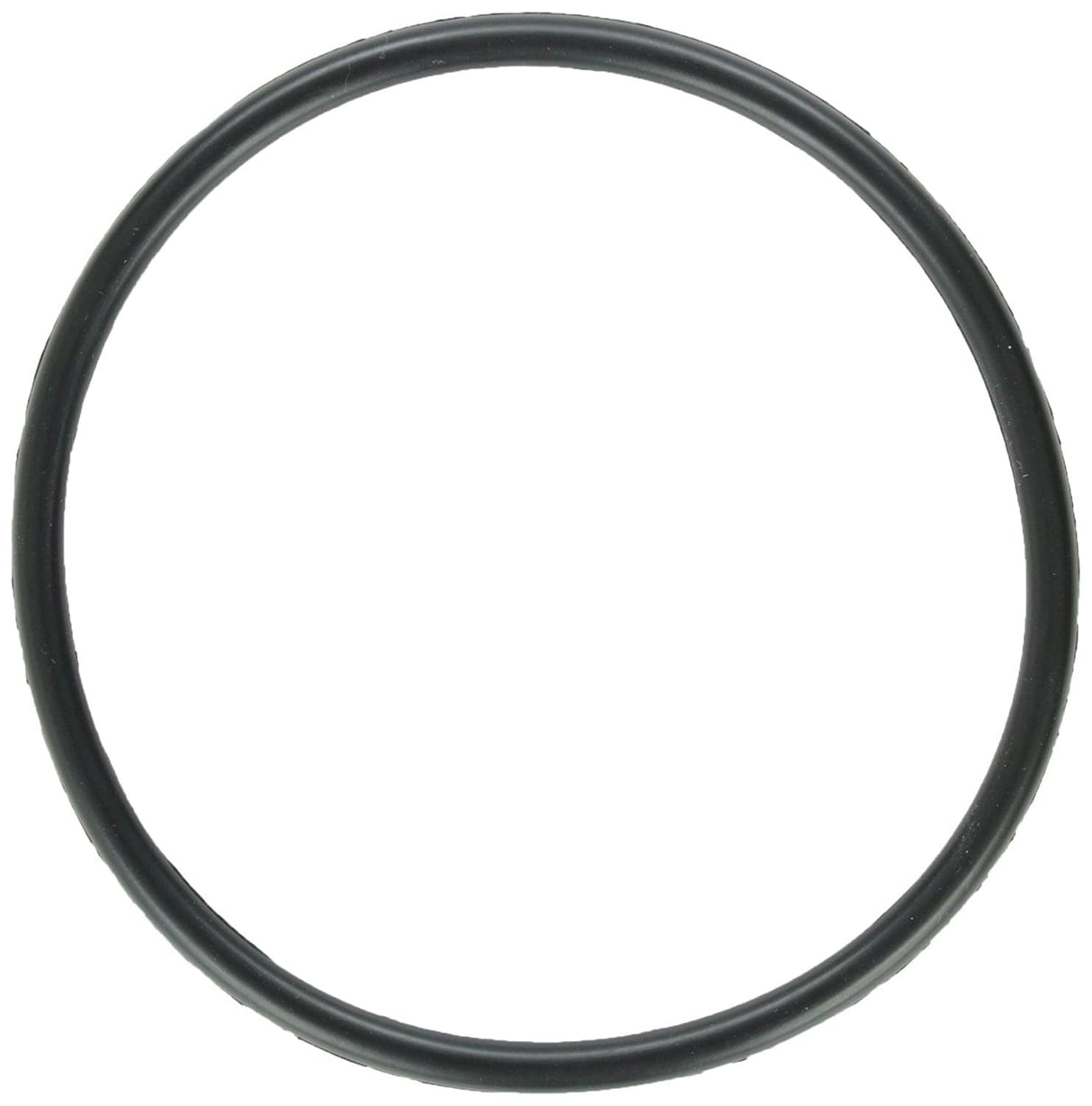 Zodiac Electrode O-Ring