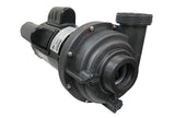 Sundance Spa Pump - 2 Speed 2.5 HP, 4.2 Brake HP