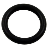 Pentair 79116900 O-Ring Replacement Pool and Spa Light