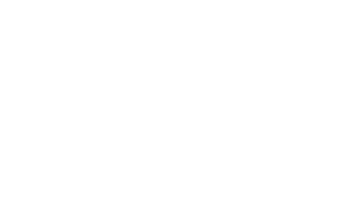 Gecko Aqua-Flo Pump 4HP 230V 2” 2-Speed 56-Frame