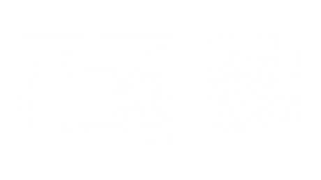 Gecko Aqua-Flo Pump 4HP 230V 2” 2-Speed 56-Frame