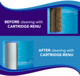 Aqua Coastal Cartridge Renu-Specialty Pool Chemical for filter cleaning in a clear plastic container, designed for pool filter maintenance.