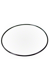 Pentair O-Ring Valve Body - 154493