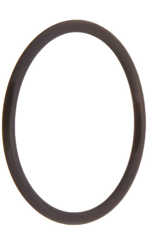 Pentair O-Ring Standup - 155064