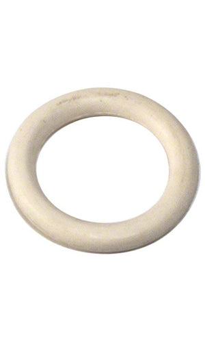 Pentair O-Ring Drain Plug - 192115Z