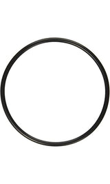 Pentair O-Ring Valve Body | 272541