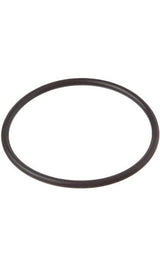 Pentair O-Ring Standup - 355330