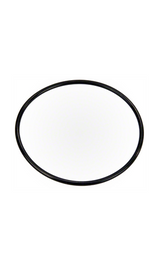 Pentair O-Ring - 355619Z
