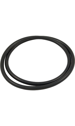 Pentair Body O-Ring - 87300400Z