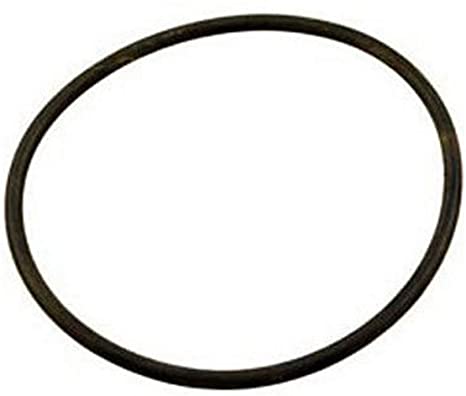 Hayward SwimClear Outlet Elbow O-Ring - DEX360M