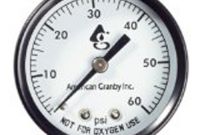 Pressure Gauge 60 PSI