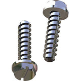 Hayward Motor Base Mount Screws - SPX1600Z52